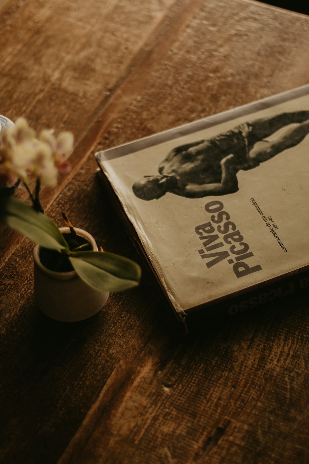mystery novel cover on wooden table